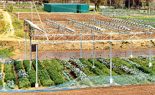 Agrihub_20copy.jpg
