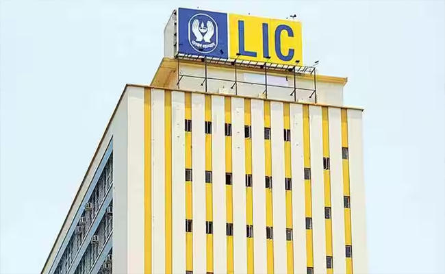 lic01.jpg