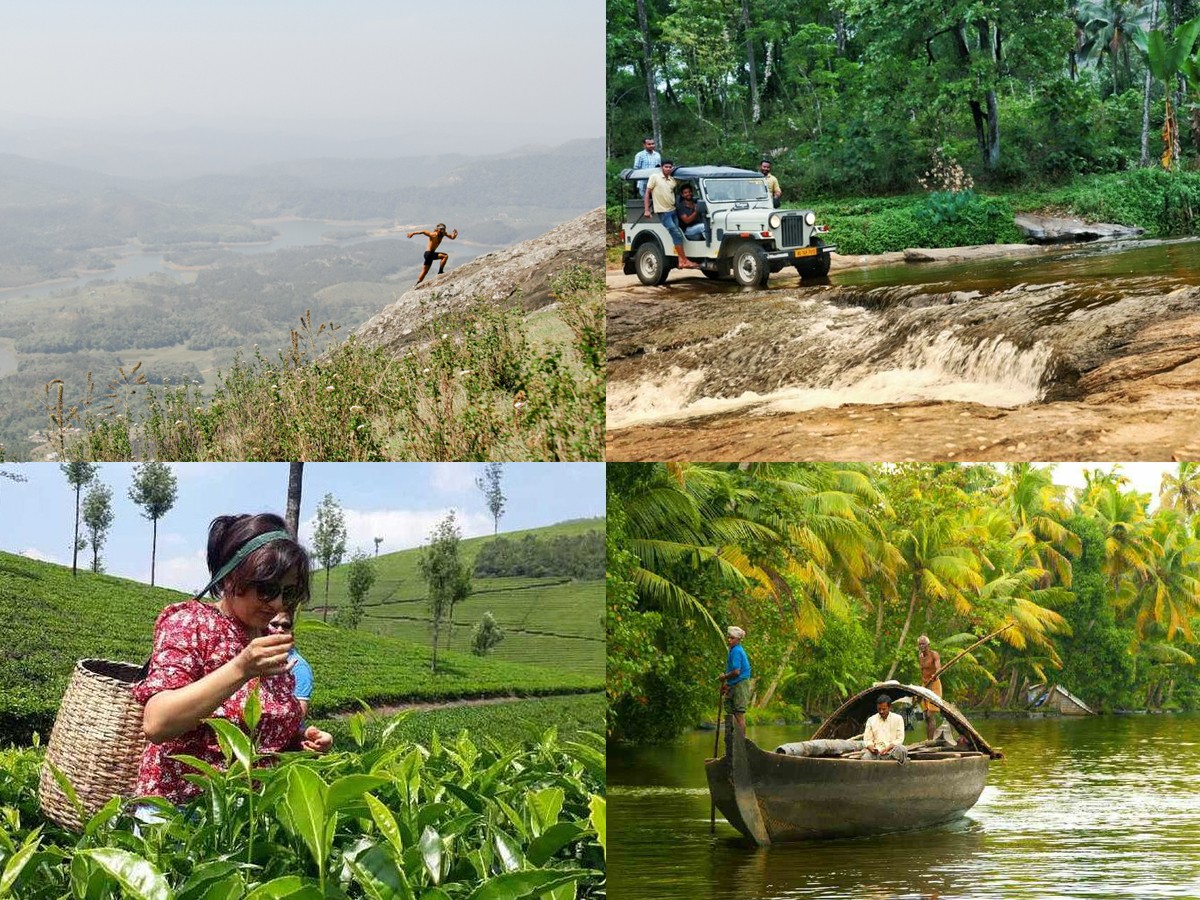 15.Munnar_Trekking-Tea-Plantation-Tour-Jungle-Safari-Boating.jpg 31