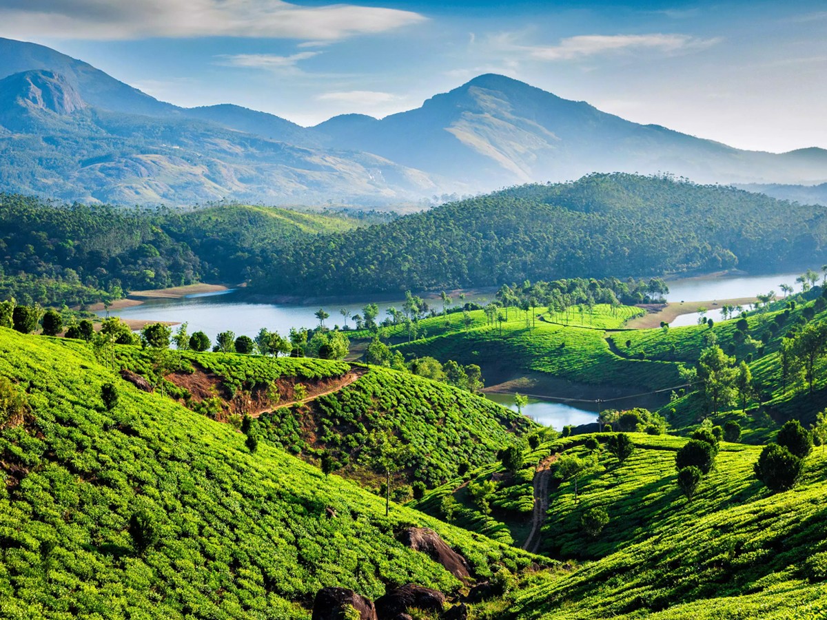 15._20Munnar-Kerala.jpg 30