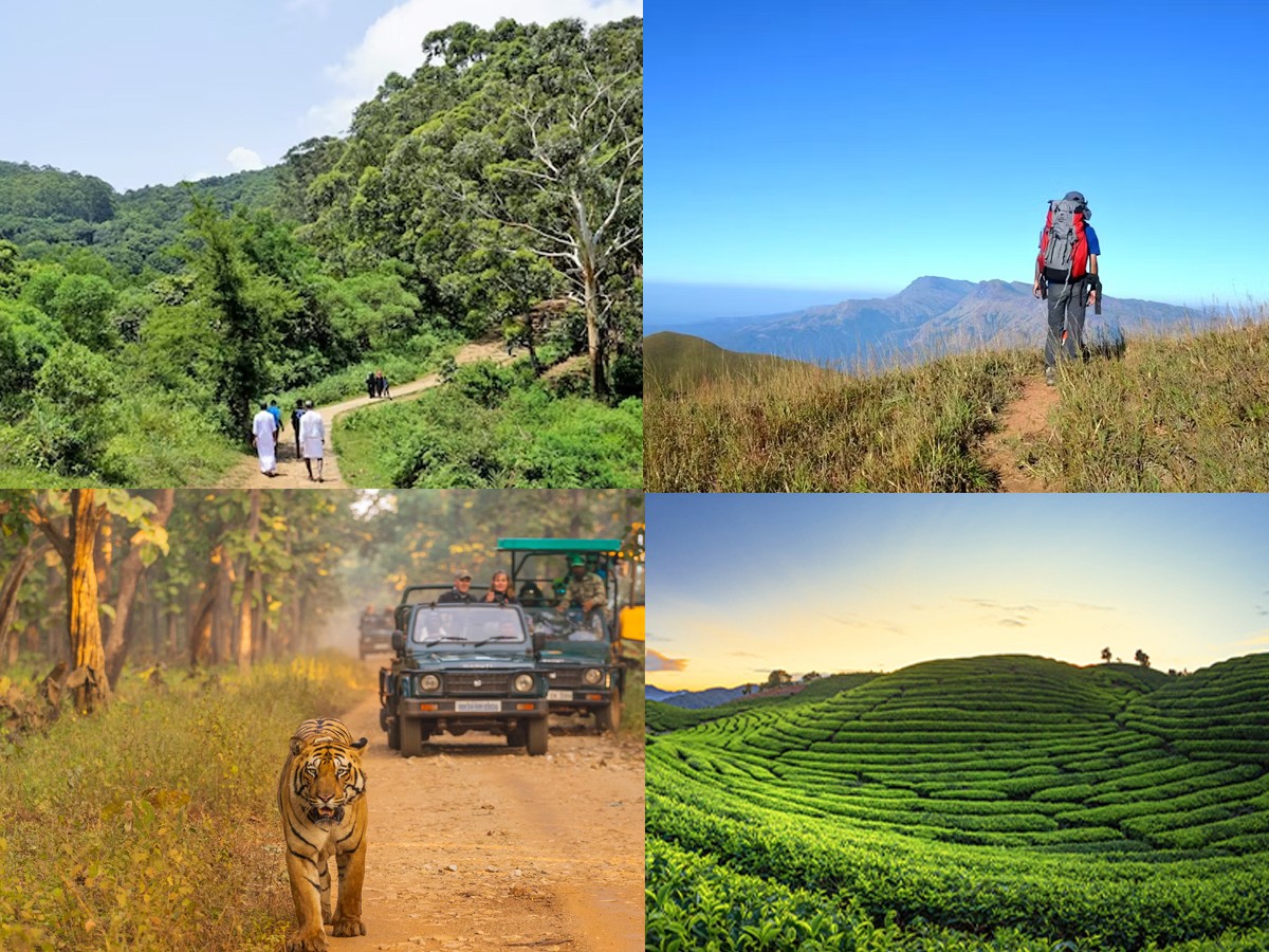 9.Ooty_Nature-Walks-Tea-Plantation-Tour-Trekking-Jungle-Safari.jpg 19
