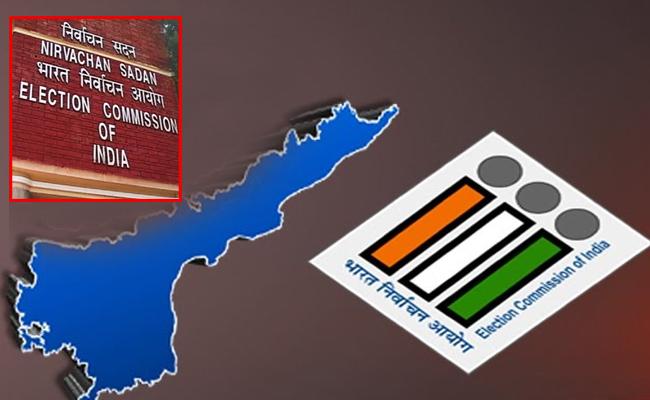 AP_Elections_EC_Review.jpg