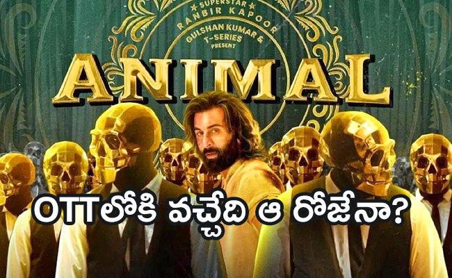 Animal-Movie-OTT.jpg