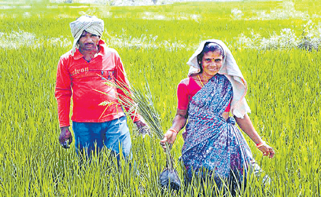 Hand-Hold-Farmers.jpg