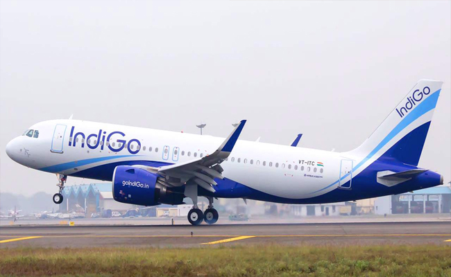 indigo01.jpg
