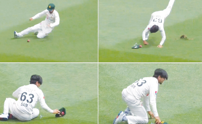 pakvsaus.jpg
