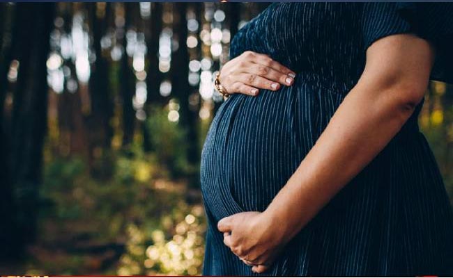 pregnancy.jpg