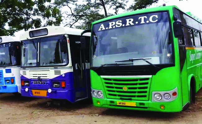 AP_20BUS.jpg