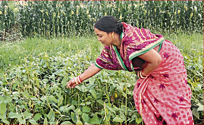 Geetha.jpg