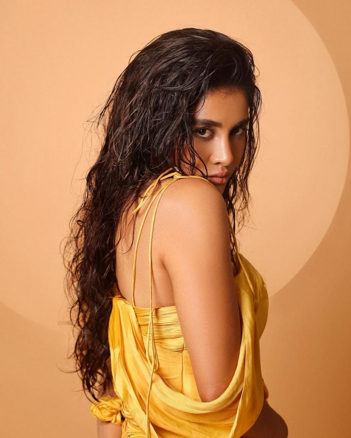 Nabha-Natesh-golden-dress.jpg 5