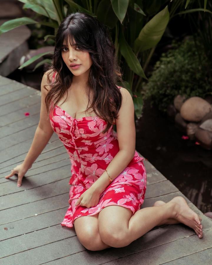 Nabha-Natesh-insta-pics.jpg 7