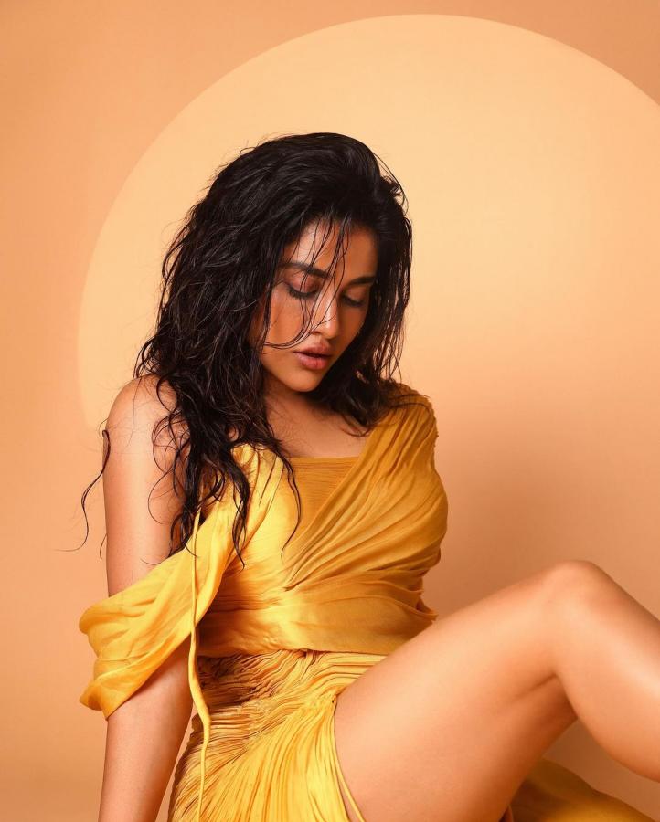 Nabha-Natesh-latest-photos.jpg 4