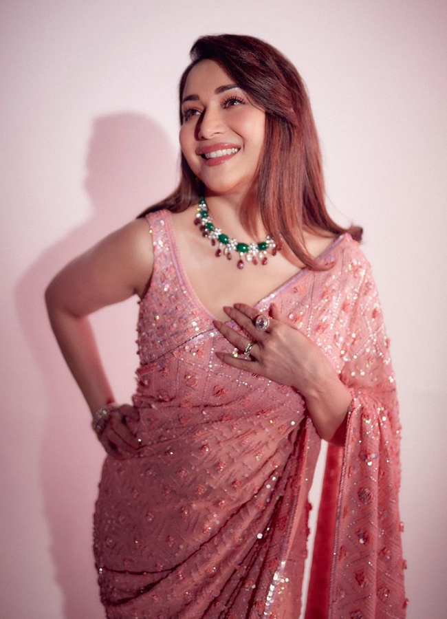 Madhuri-Dixit-13.jpg 14