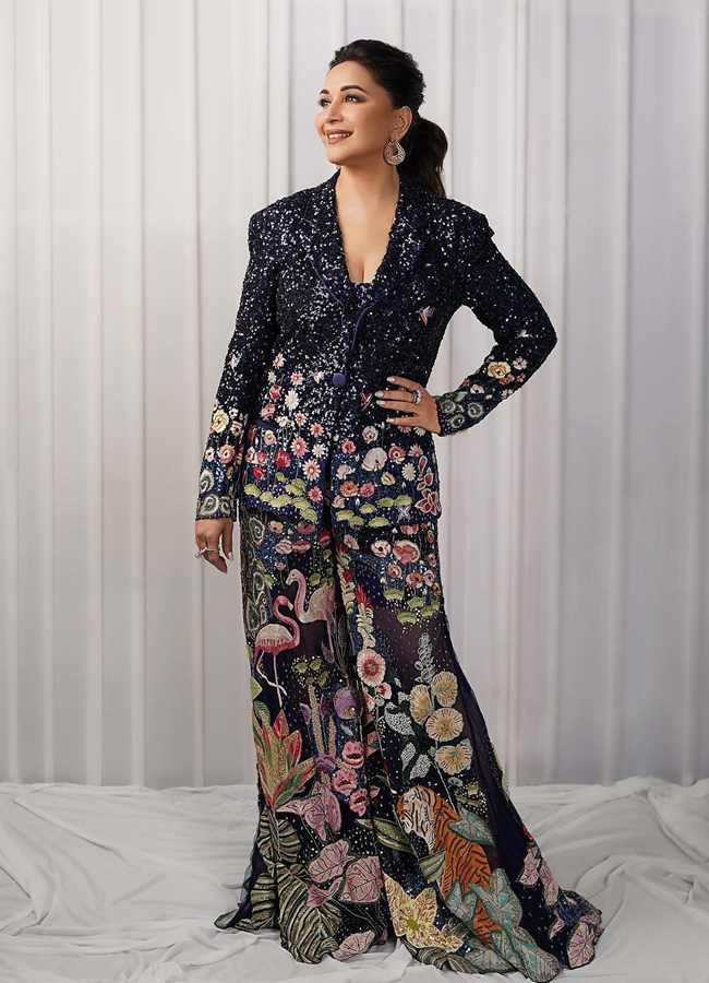 Madhuri-Dixit-15.jpg 16