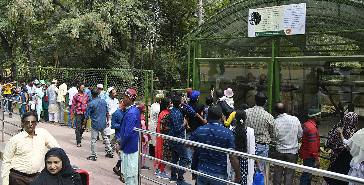 Nehru_20Zoological_20Park_20Hyderabad-10.jpg 10