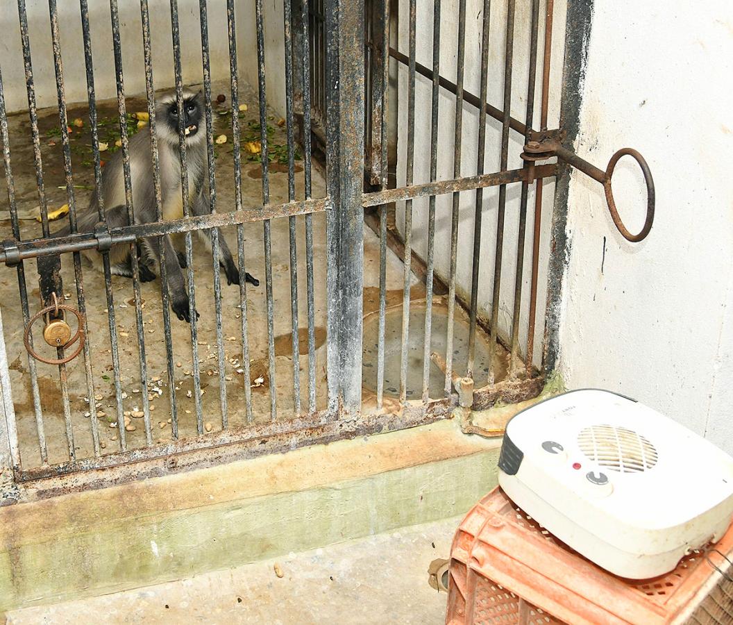 Nehru_20Zoological_20Park_20Hyderabad-16.jpg 15