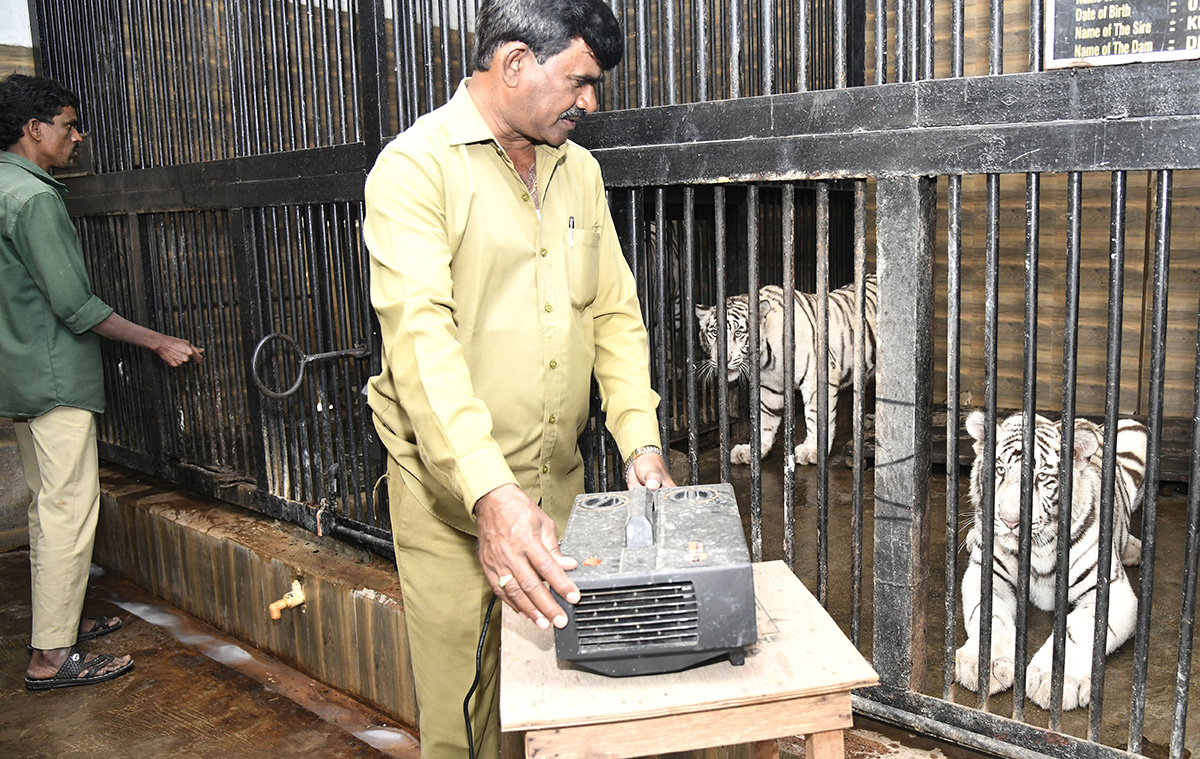 Nehru_20Zoological_20Park_20Hyderabad-19.jpg 18