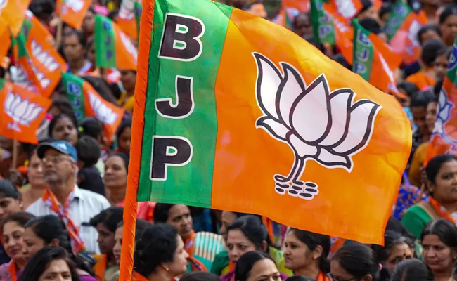 bjp_0.jpg