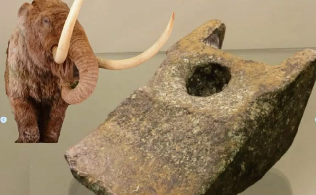 elephant.jpg