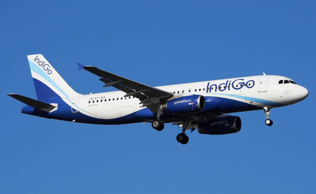 indigo.jpg