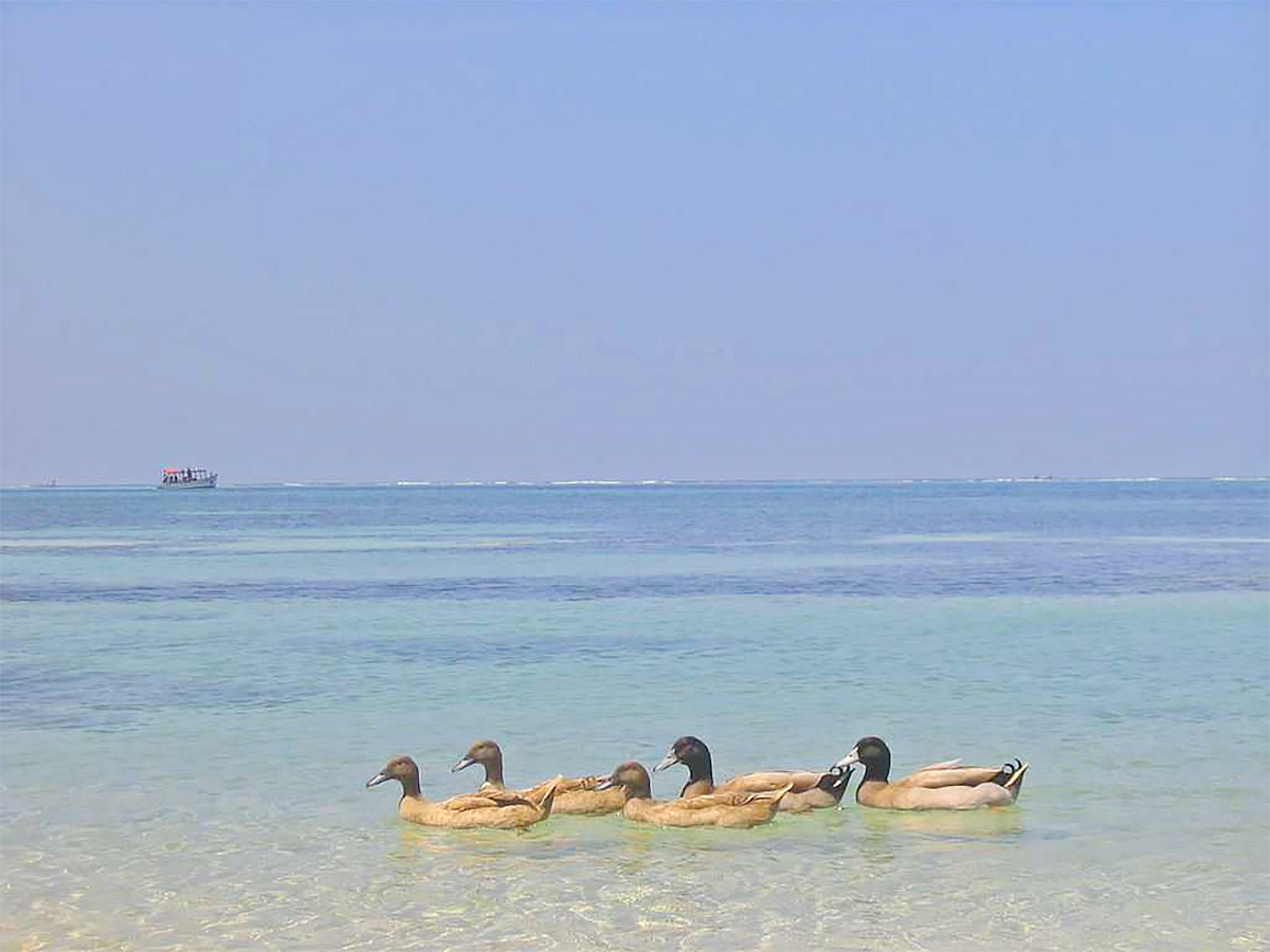lakshadweep_20photo_20gallery-10.jpg 9