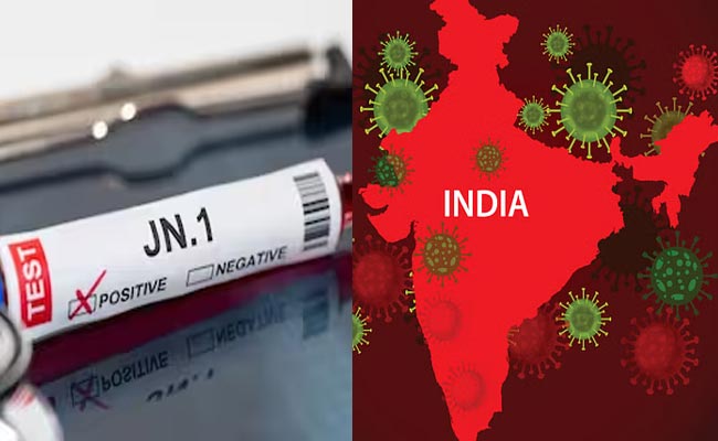 JN1-Virus3.jpg