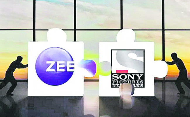 SONY_20ZEE.jpg