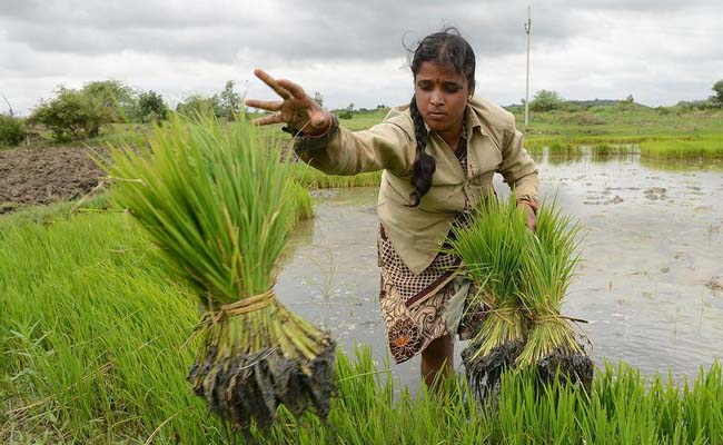 woman-farmers.jpg