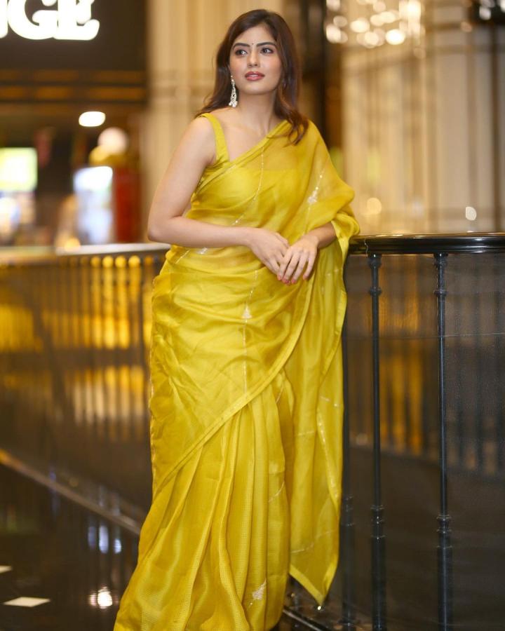 AmrithaAiyer-19.jpg 15