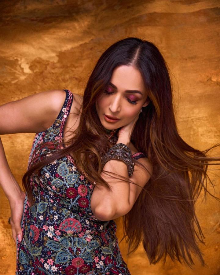 Malaika-Arora-insta-photos.jpg 6