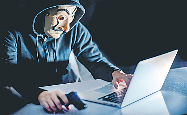 iStock-1073159424.jpg