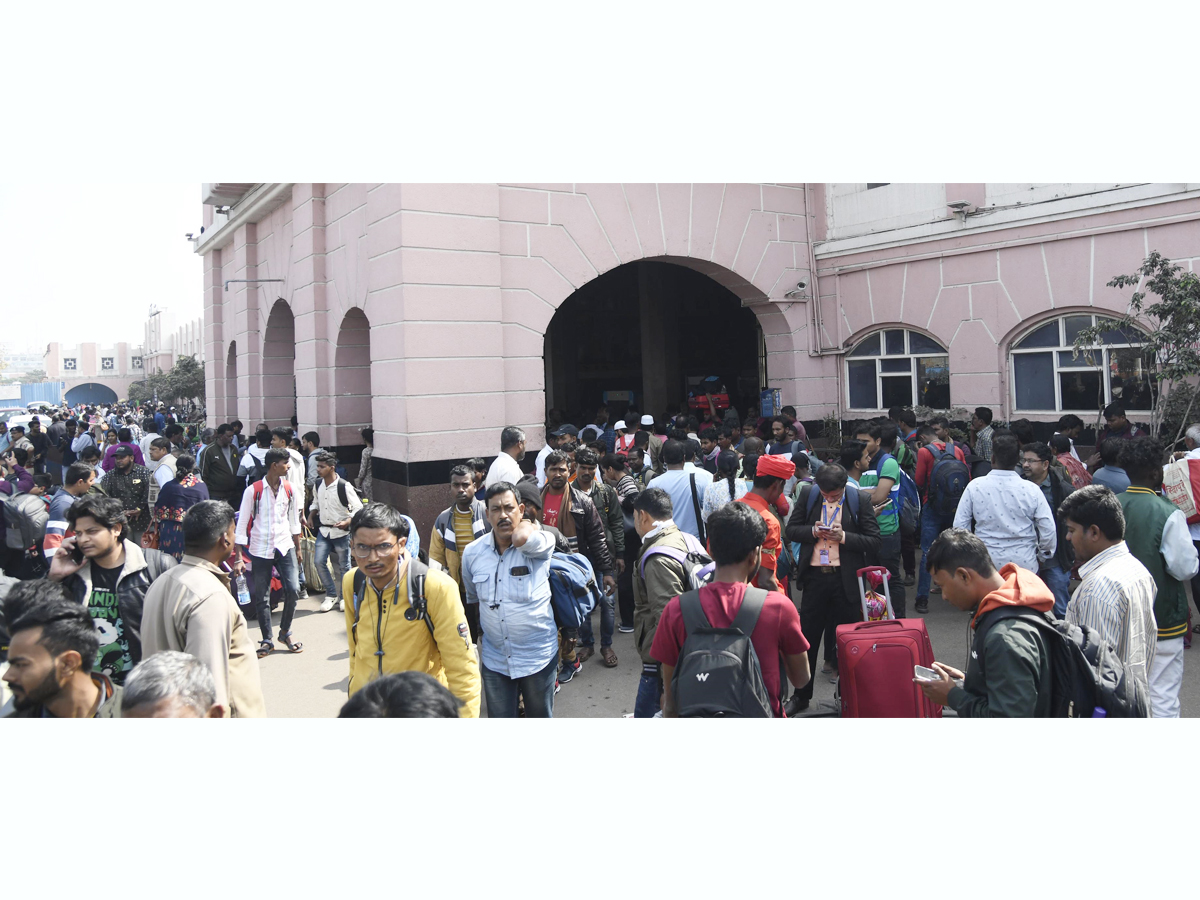 Festival-1.jpg 2