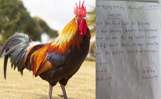 Karimnagar_Kodi_Katha.jpg