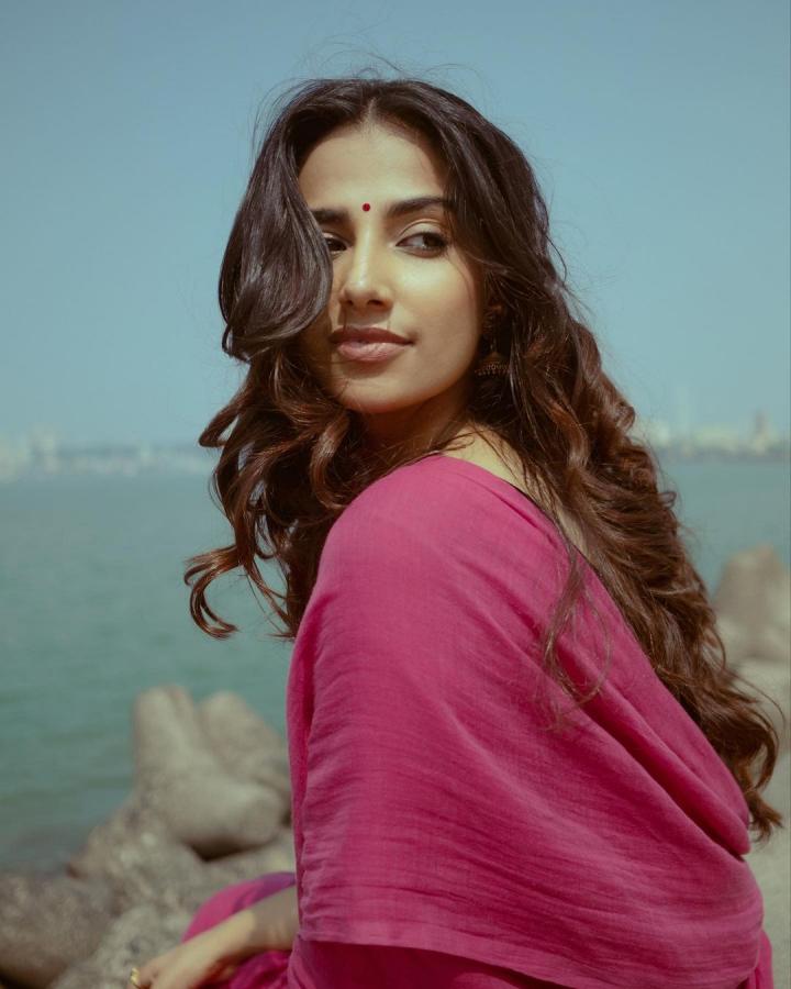 Meenakshi-Chaudhary-first-look.jpg 6