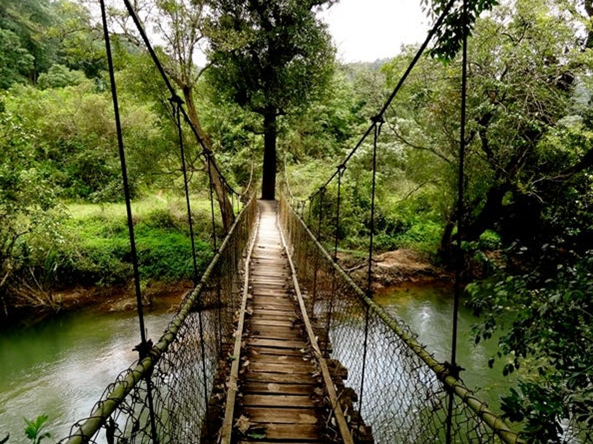 1.Coorg_.jpg 2