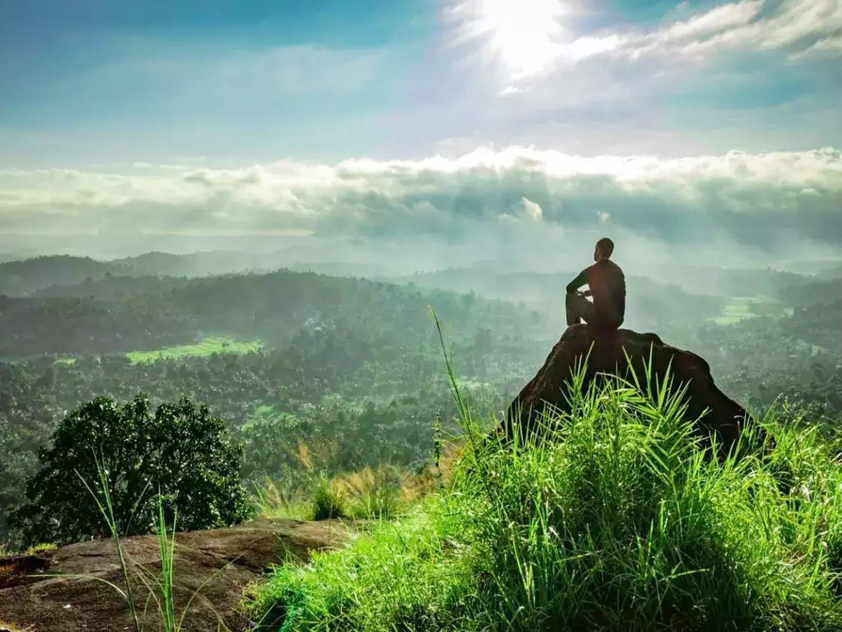 2.Wayanad.jpg 3