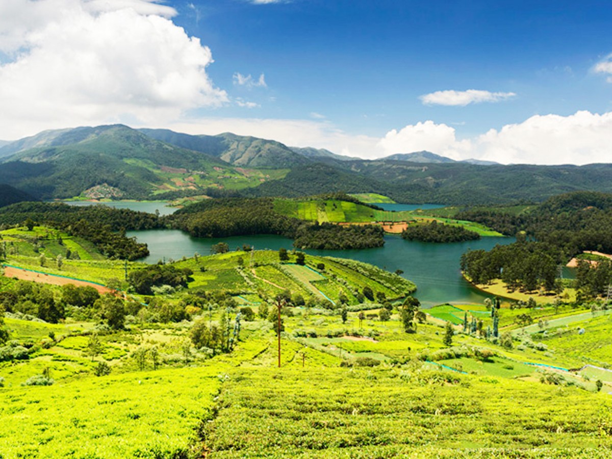 4.Coonoor.jpg 6