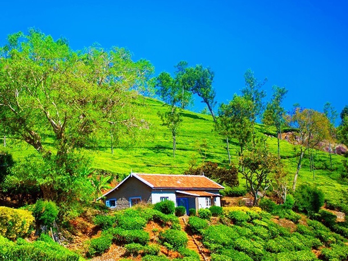 4.Ooty_.jpg 5