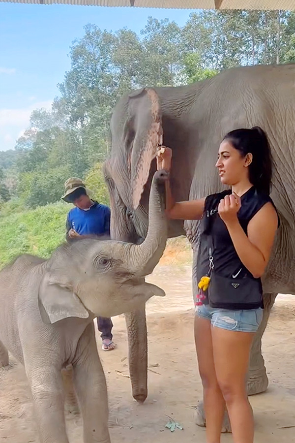 Actress_20Niharika_20konidela_20enjoying_20vacation_20in_20Nature_20Photos_6.jpg 6