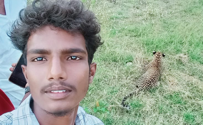 Leopard_Selfie.jpg