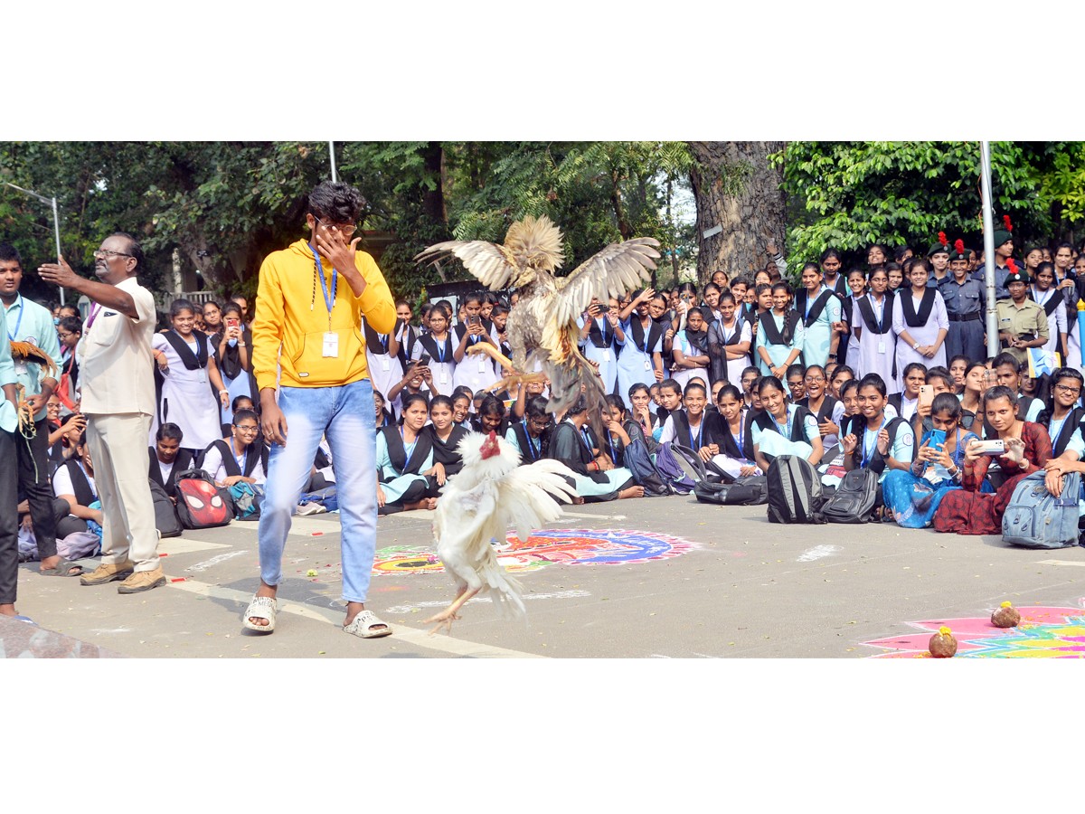 Sankranti-Celebrations-14.jpg 15