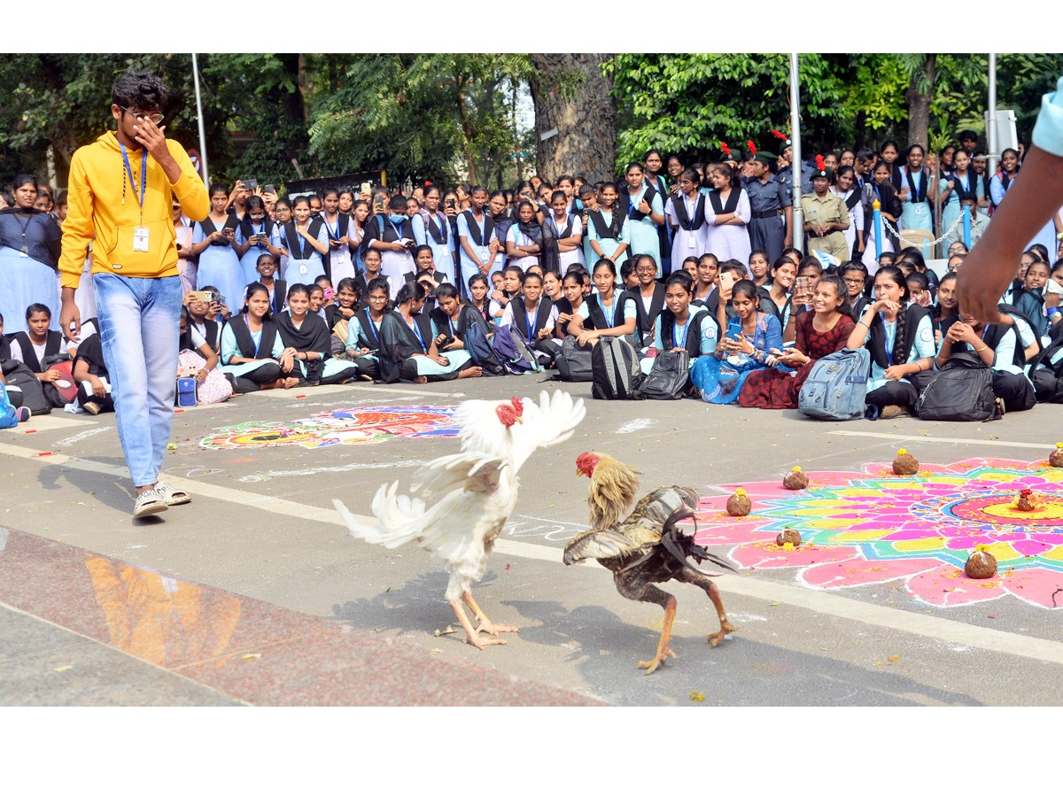 Sankranti-Celebrations-15.jpg 16