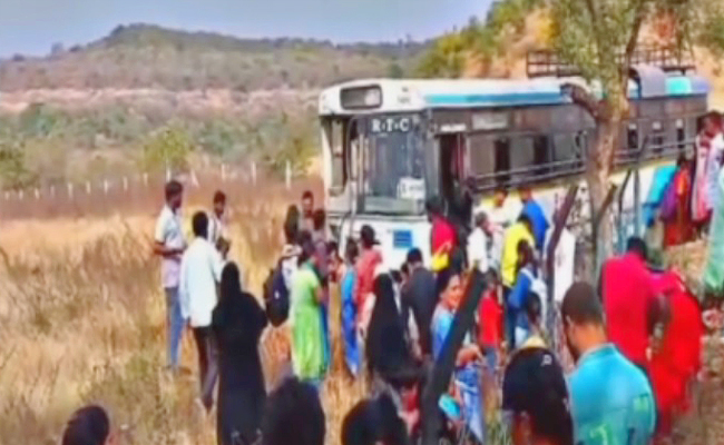 bus.jpg