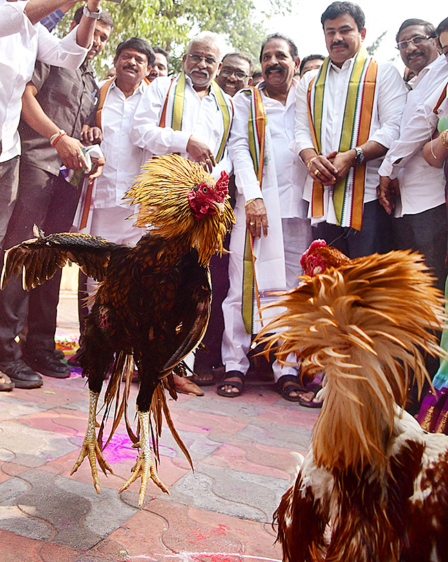 sankranthi_20celebrations_202024_20in_20visakhapatnam_20pics-28.jpg 25
