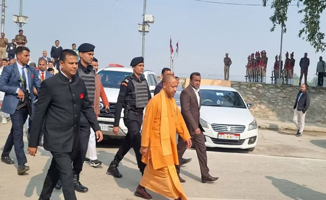 yogi.jpg