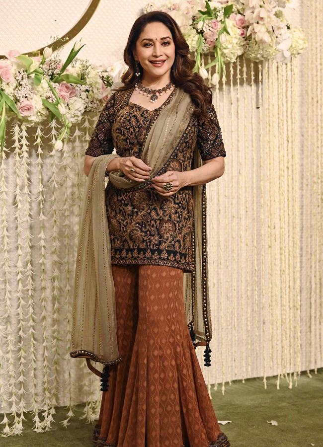 Madhuri-Dixit.jpg 18