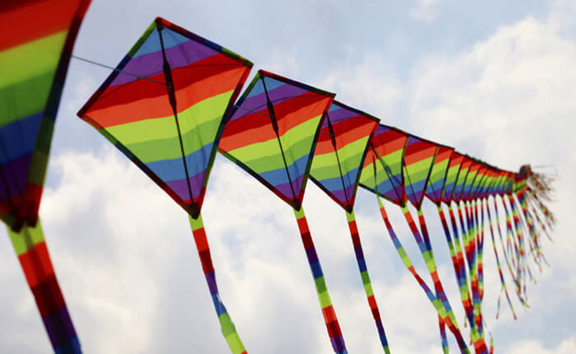 bhopal-kite-fest.jpg