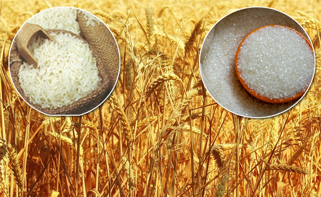 exports0101.jpg