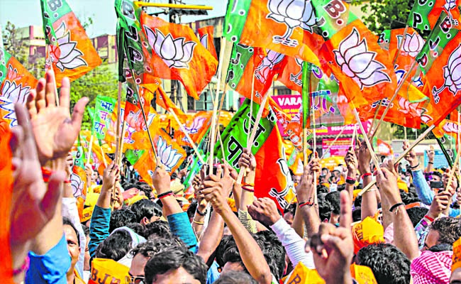BJP_20FLAGS_202.jpg