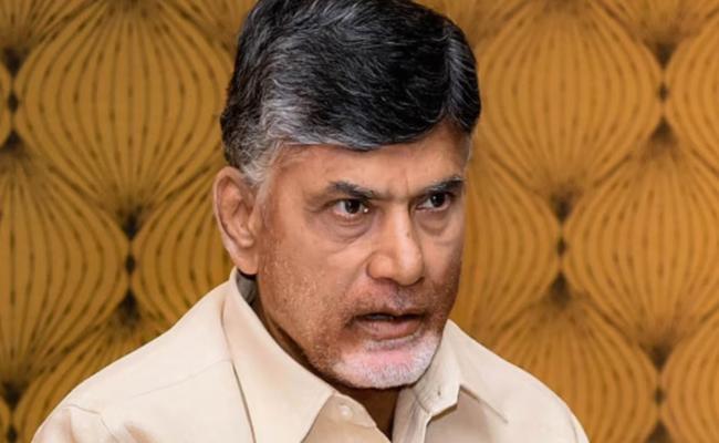 CBN_Political_Fox_0.jpg